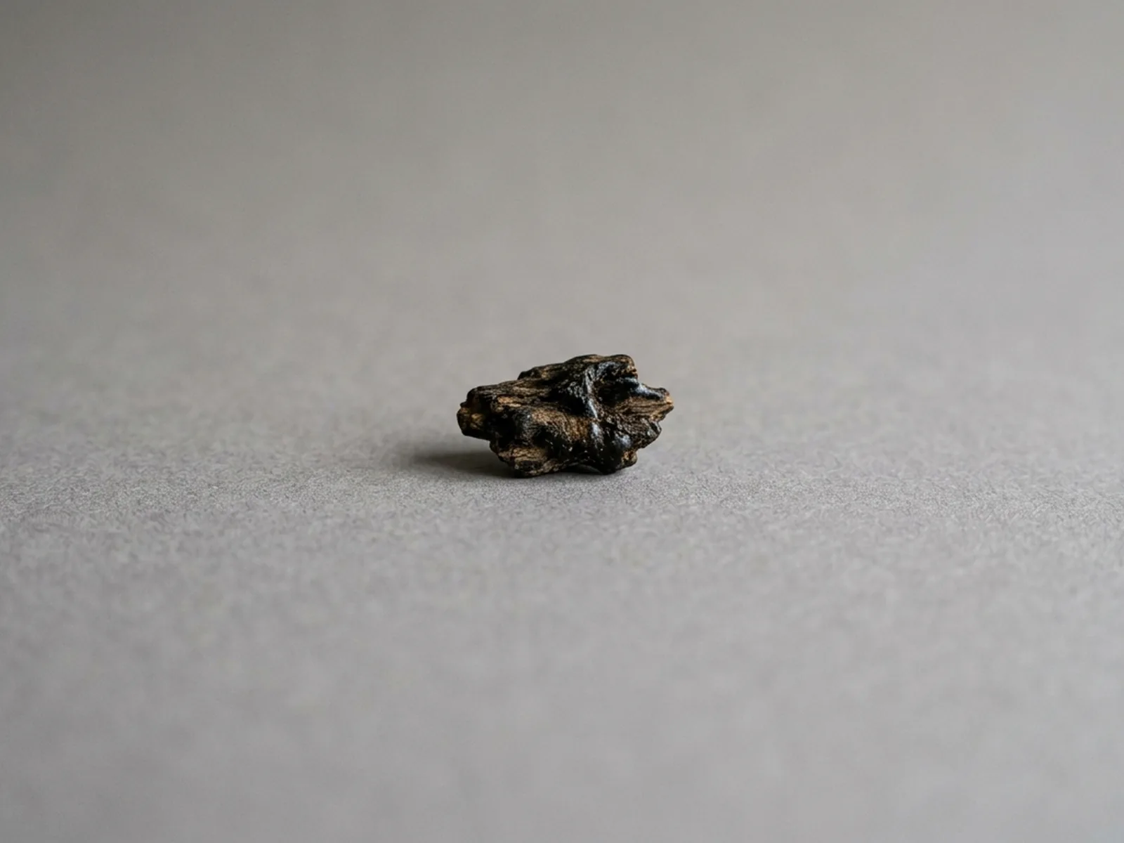 One small dark kyara-class agarwood fragment resting alone on a plain neutral surface, lit to show its resin saturation