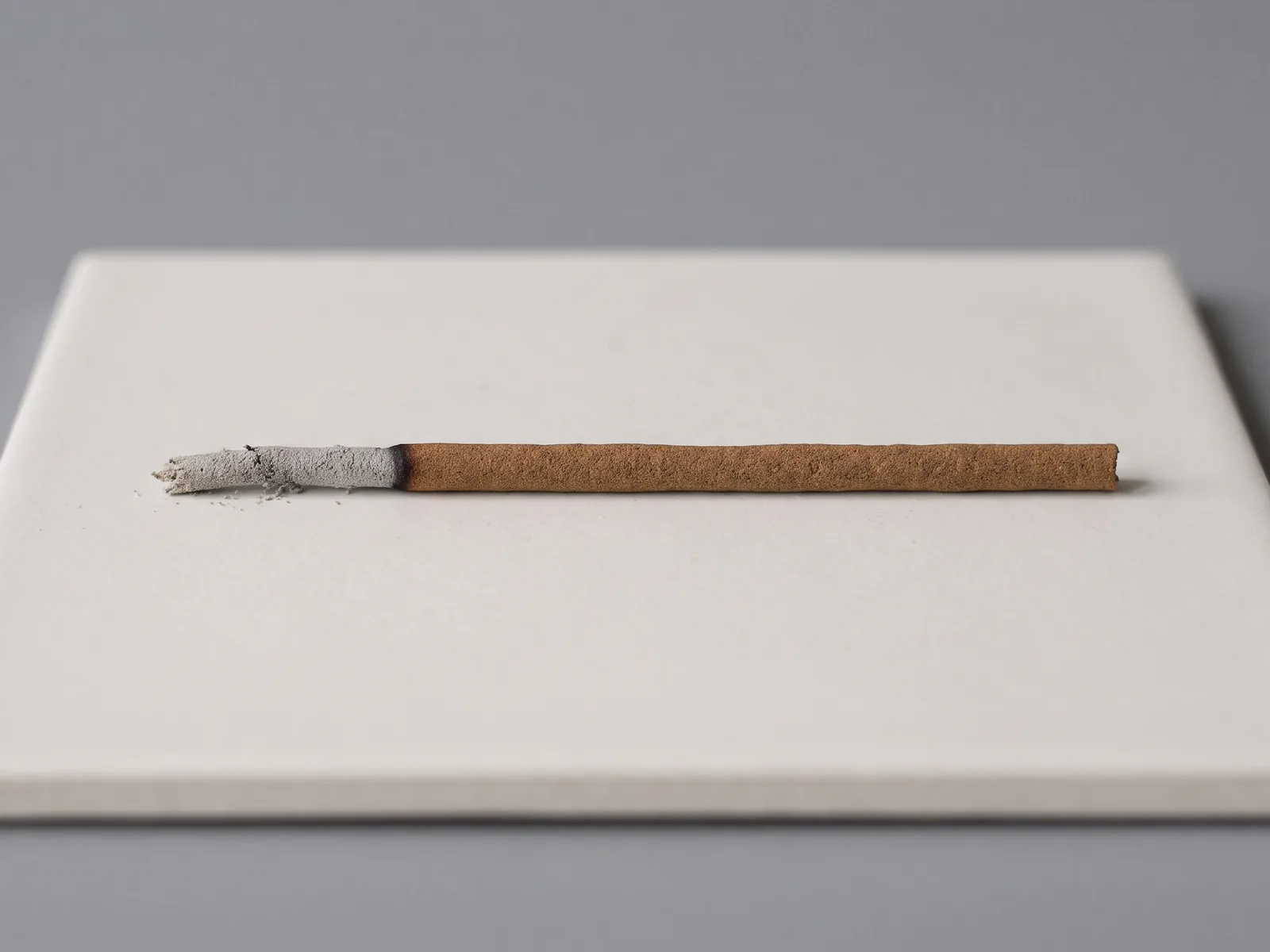 One incense stick that stopped burning partway, showing a clean blunt burn line with unburnt stick beyond it