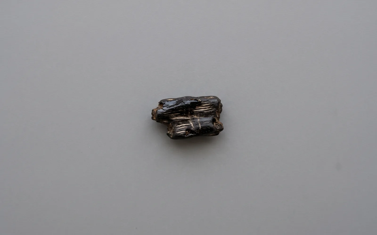 Kyara kynam grade agarwood — top kodo classification, reference image