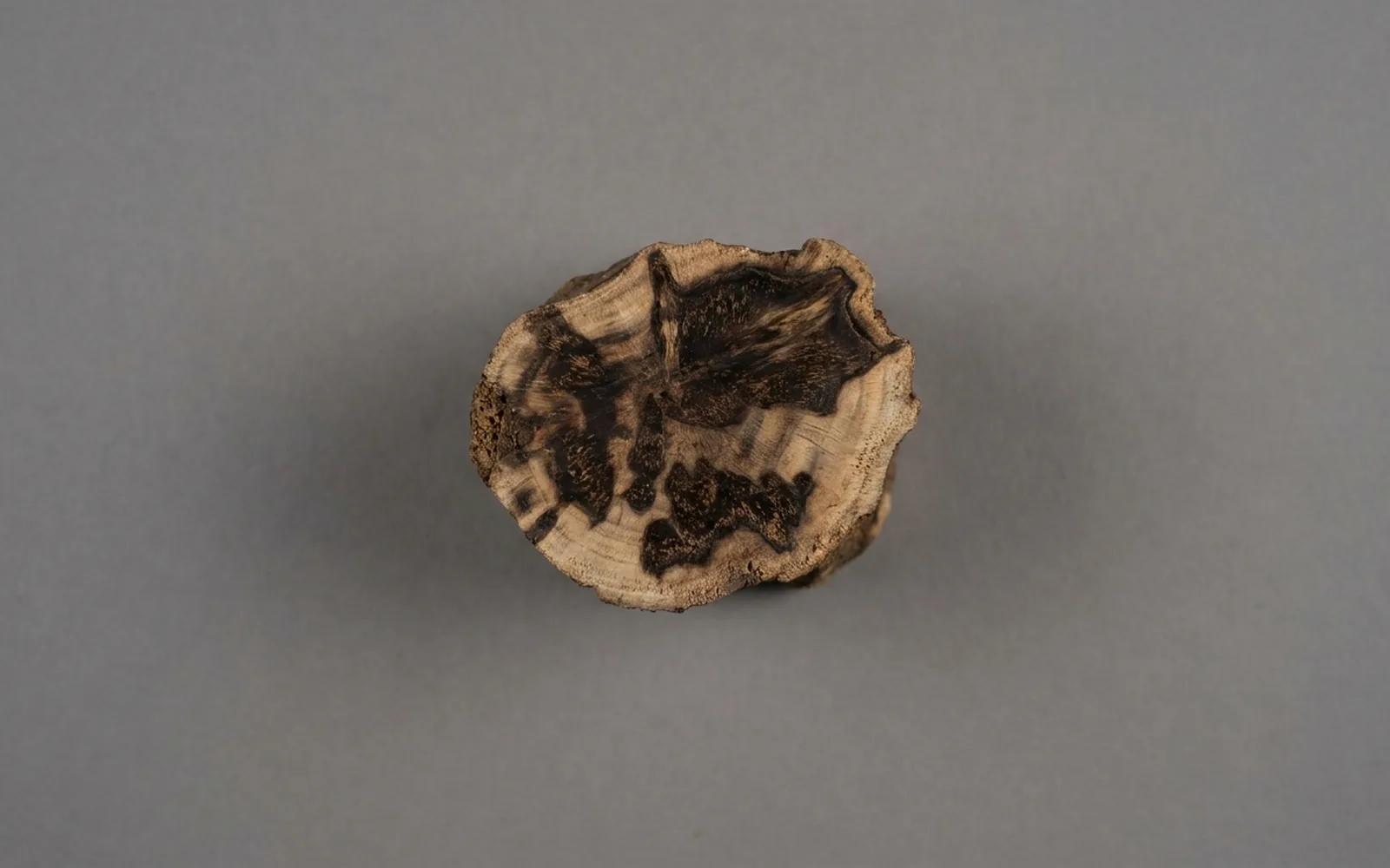Wild band agarwood grade — high resin content heartwood, reference image