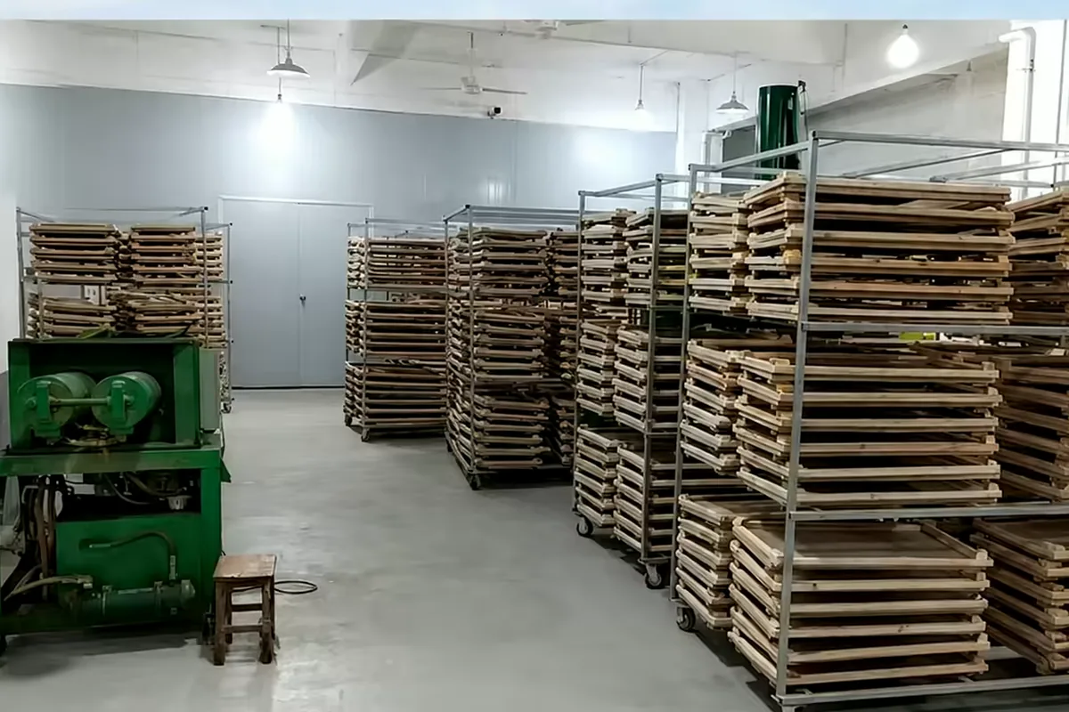 Agarwood incense drying on wooden trays beside the extruder on our production floor