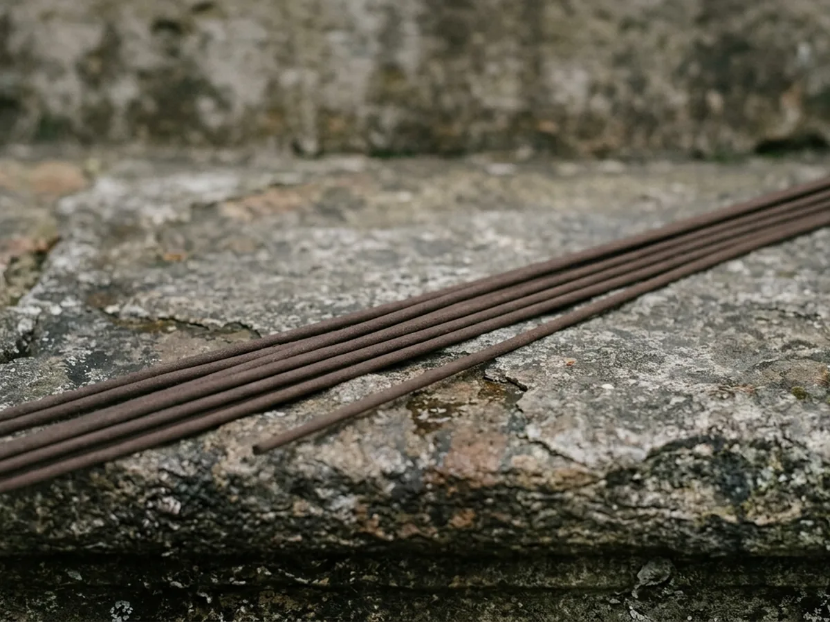 Very long temple incense sticks laid diagonally across a weathered stone step, both ends running out past the edges of the frame